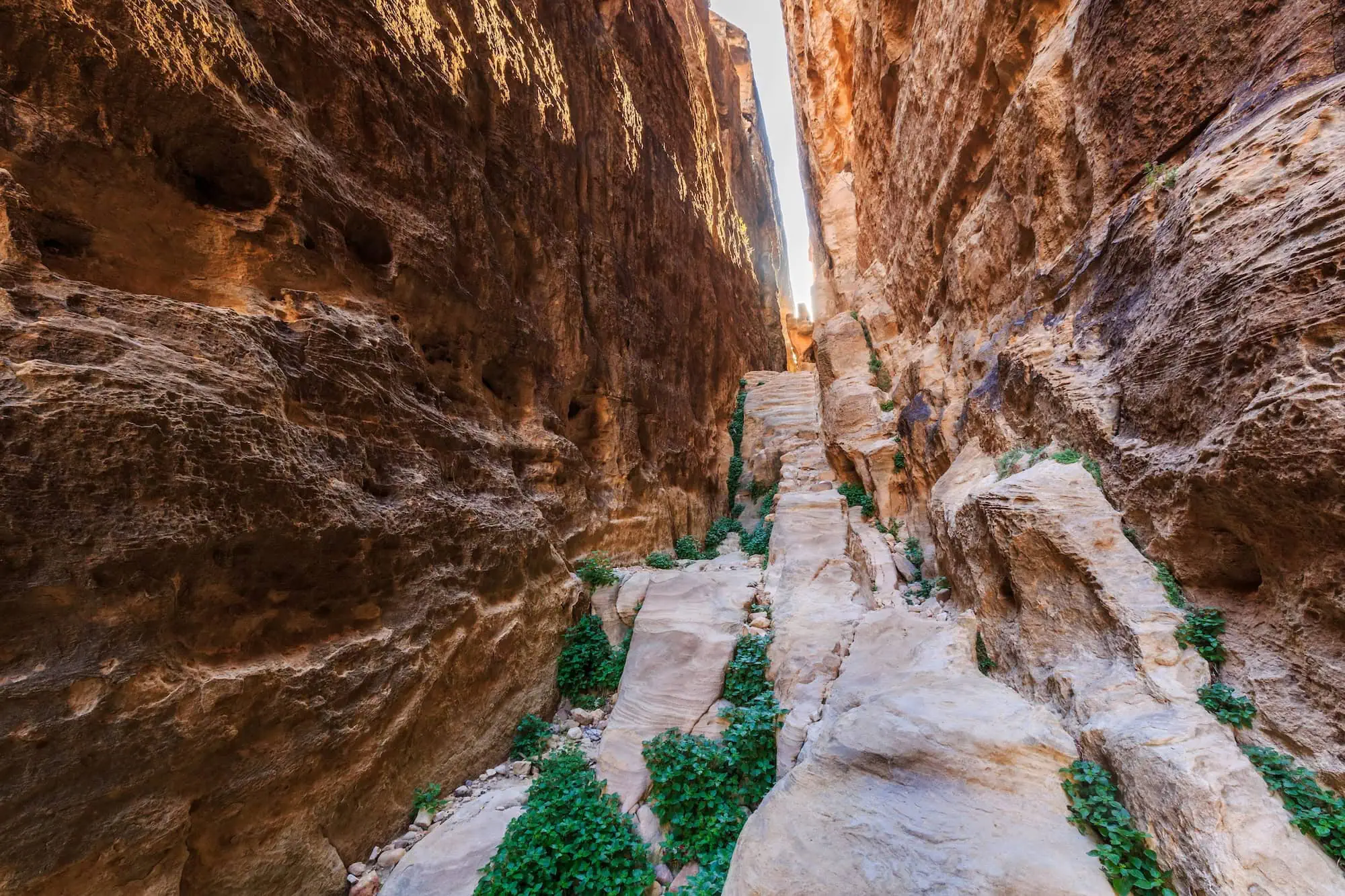 Narrow canyon passage with stone steps at Little Petra showing rocky terrain