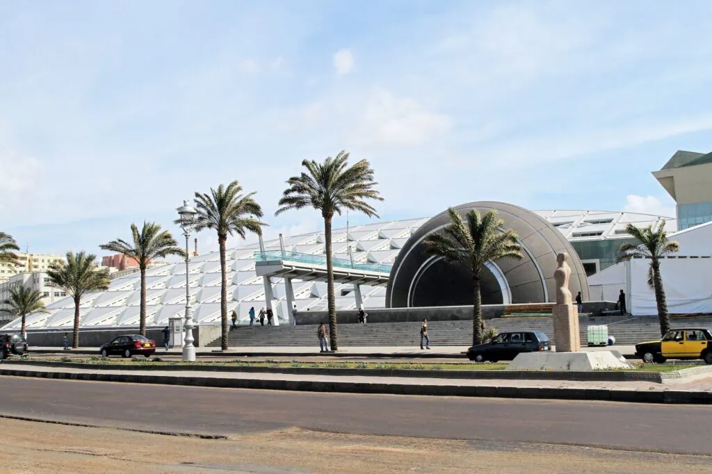 The New Library of Alexandria