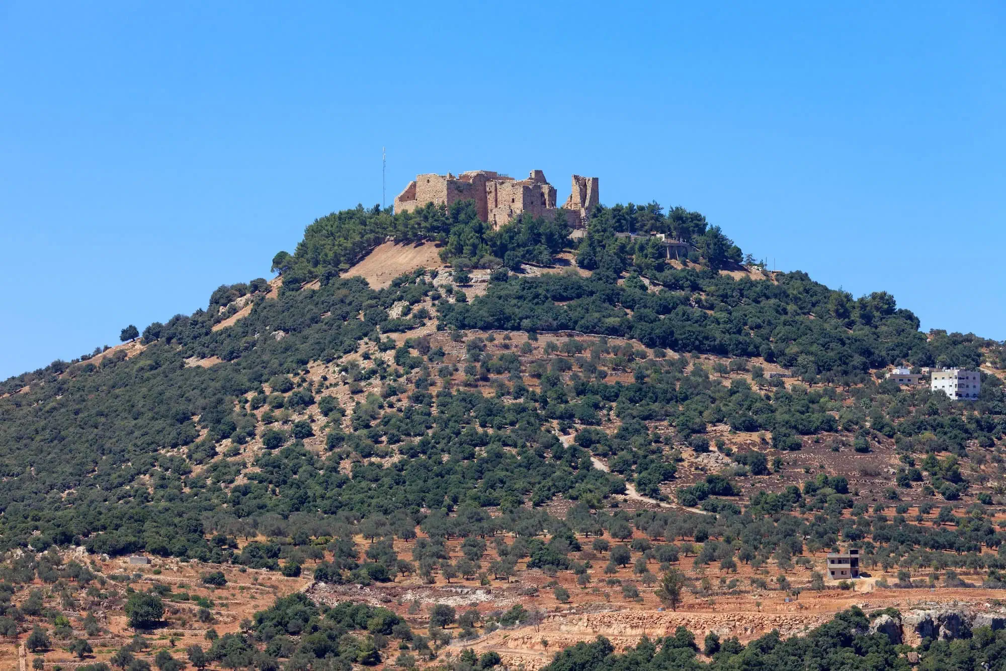 Panoramic view of Ajloun Castle fortress on hilltop in Jordan