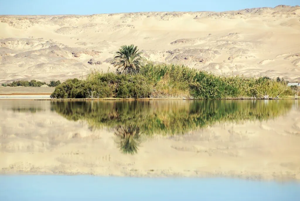 Al Farafra oasis in the Sahara lake in the desert. Egypt