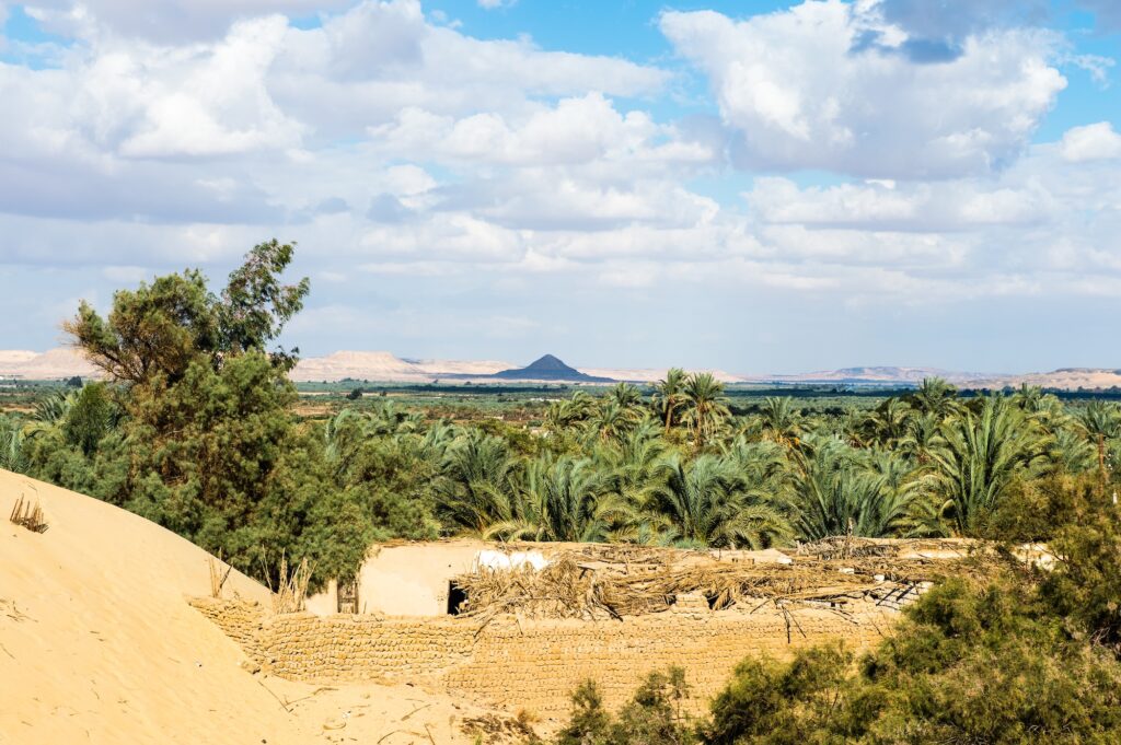Bahariya Oasis