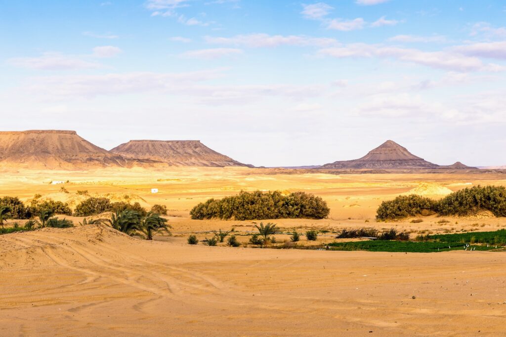 Desert landscape of Bahariya Oasis