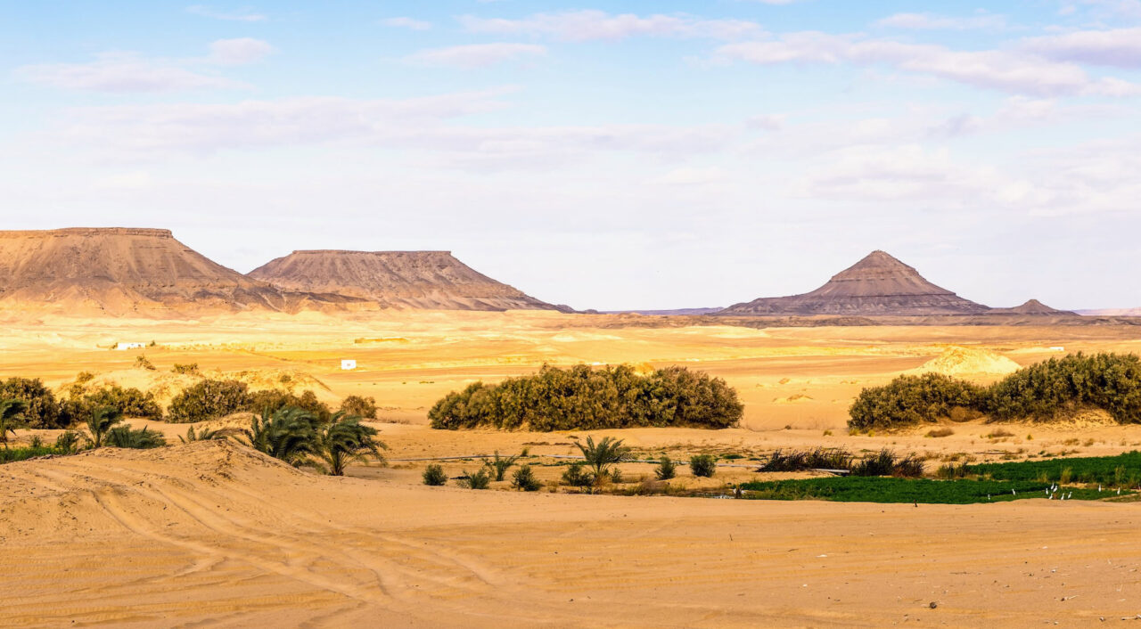 Bahariya Oasis