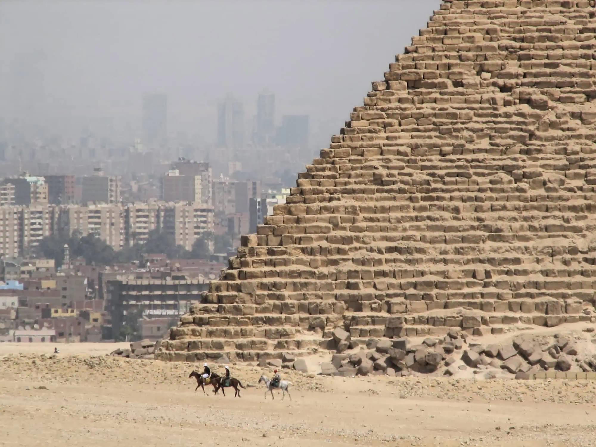 Piramidi di Giza con cammelli e skyline moderno del Cairo sullo sfondo