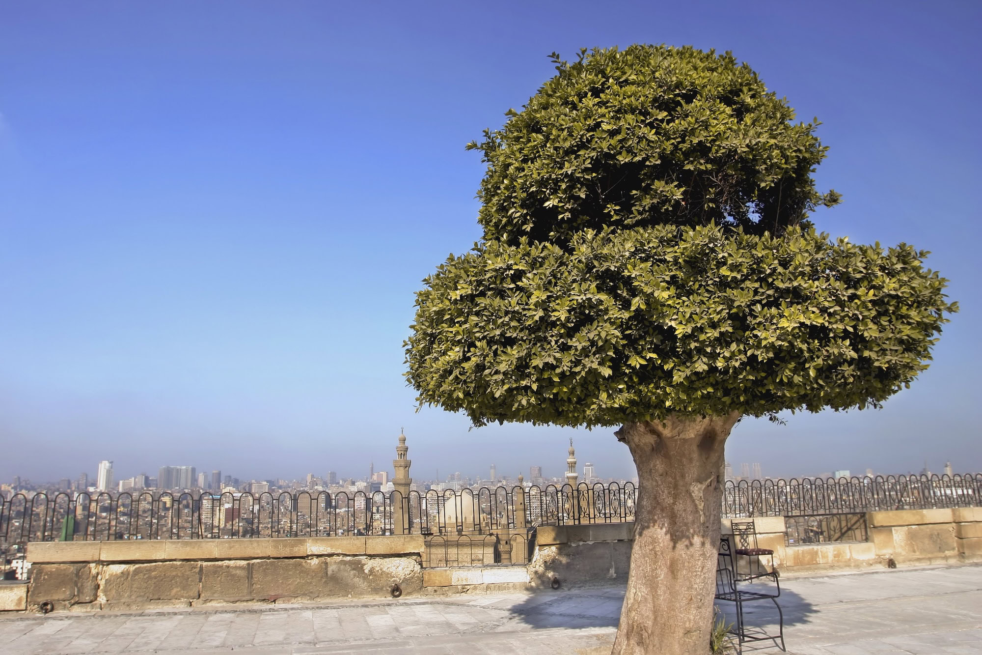 Vista panorâmica do Cairo a partir da Cidadela com minaretes e horizonte urbano