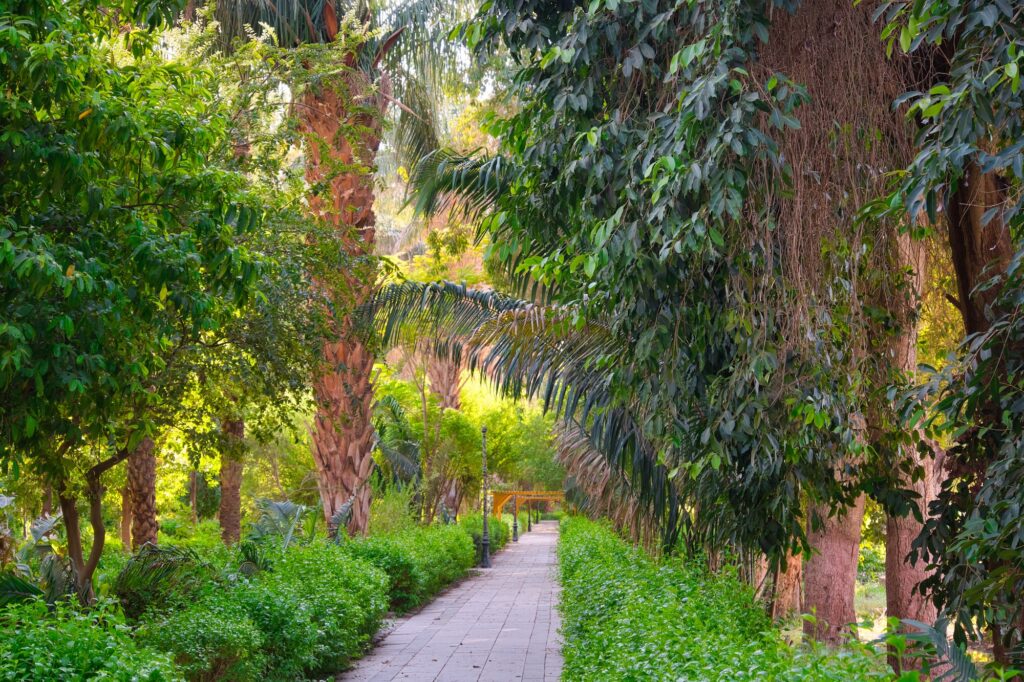 Aswan Botanical Garden