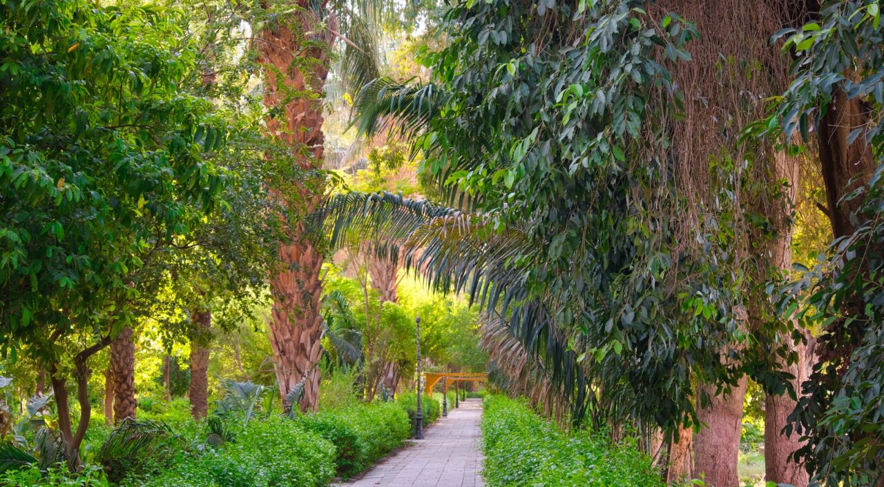 Aswan Botanical Garden
