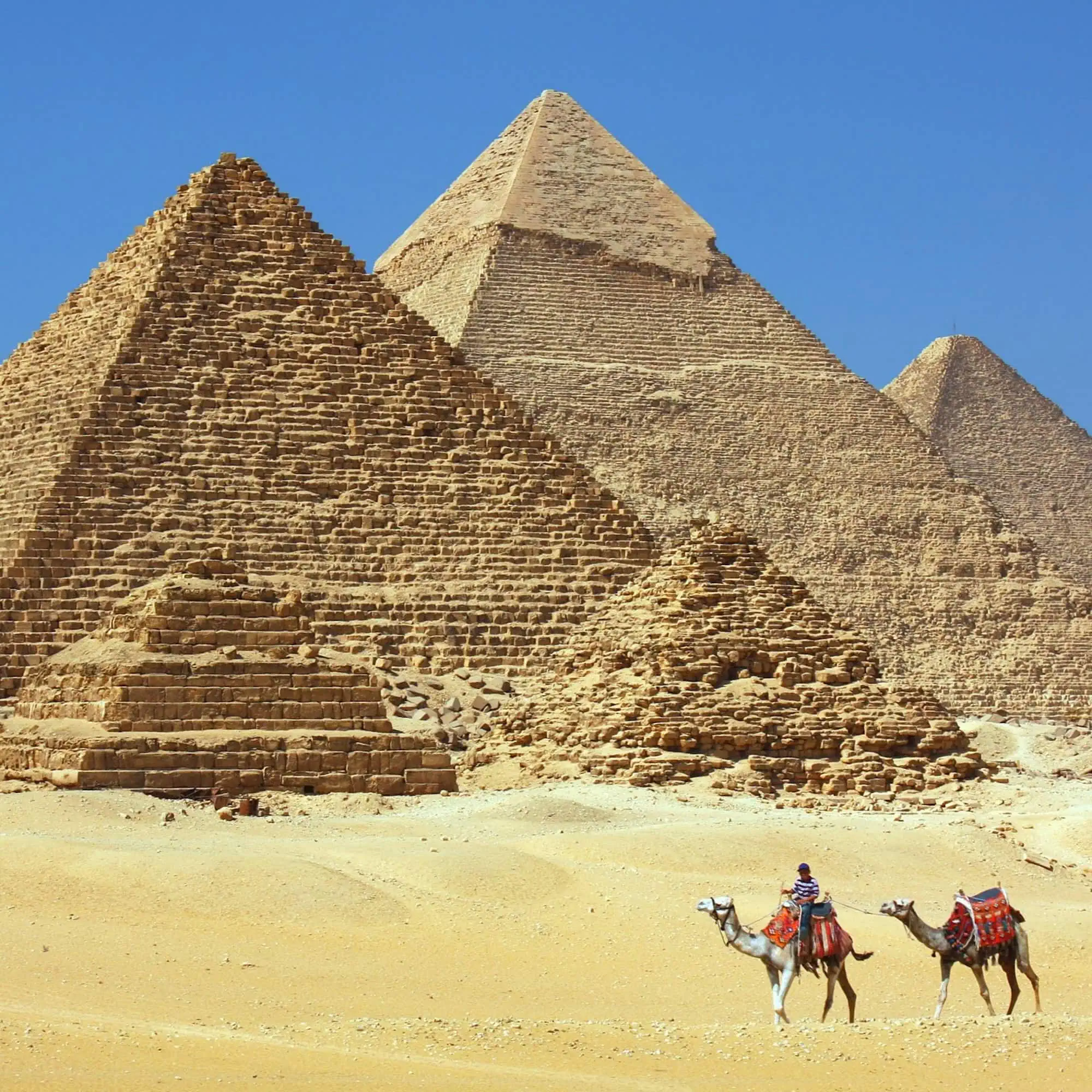 Camels with a local guide in the desert below the Pyramids of Giza outside Cairo, Egypt.
