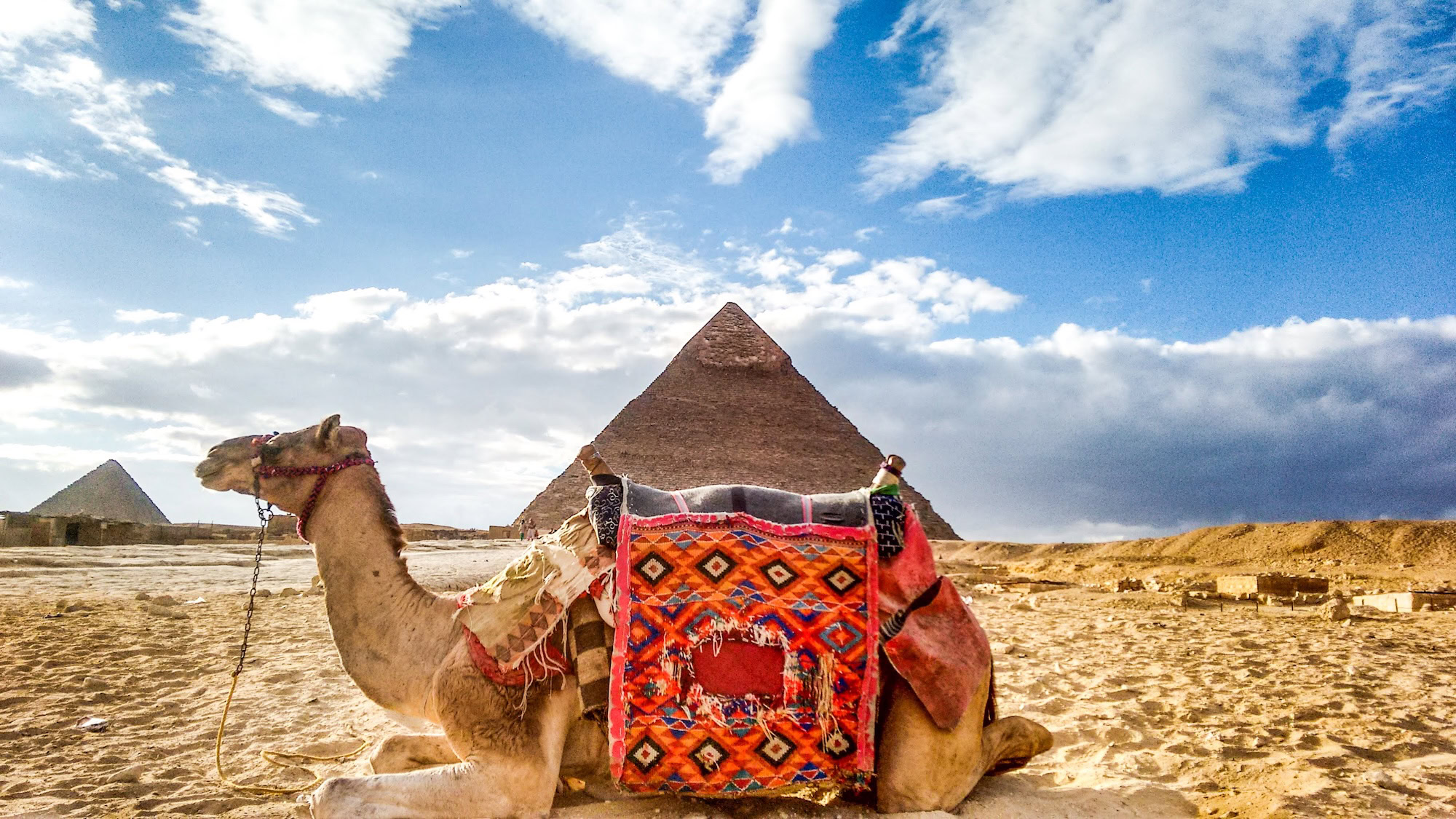 Do You Need A Tour Guide in Egypt? Here’s What You Should Know