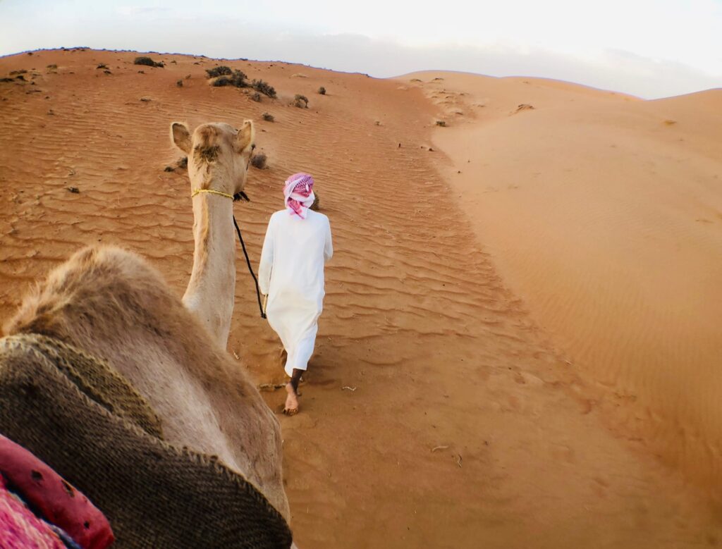 Camel ride in the desert