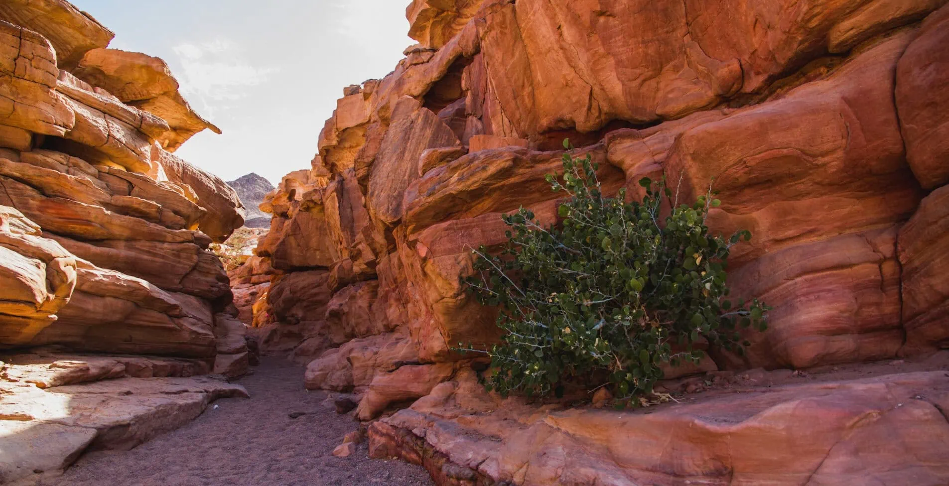 Colored Canyon egypt 1 1905x976 crop 43 29