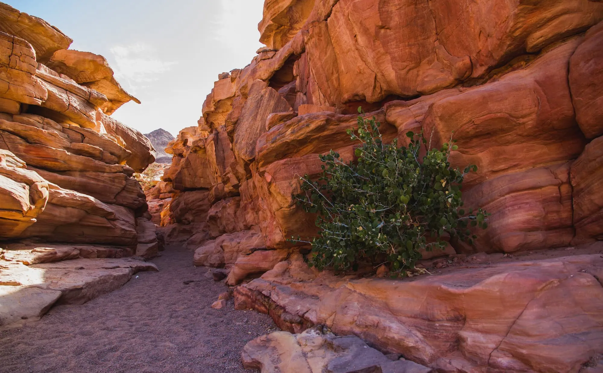 Interior view of Colored Canyon showing dramatic red and orange sandstone formations with layered geological structures