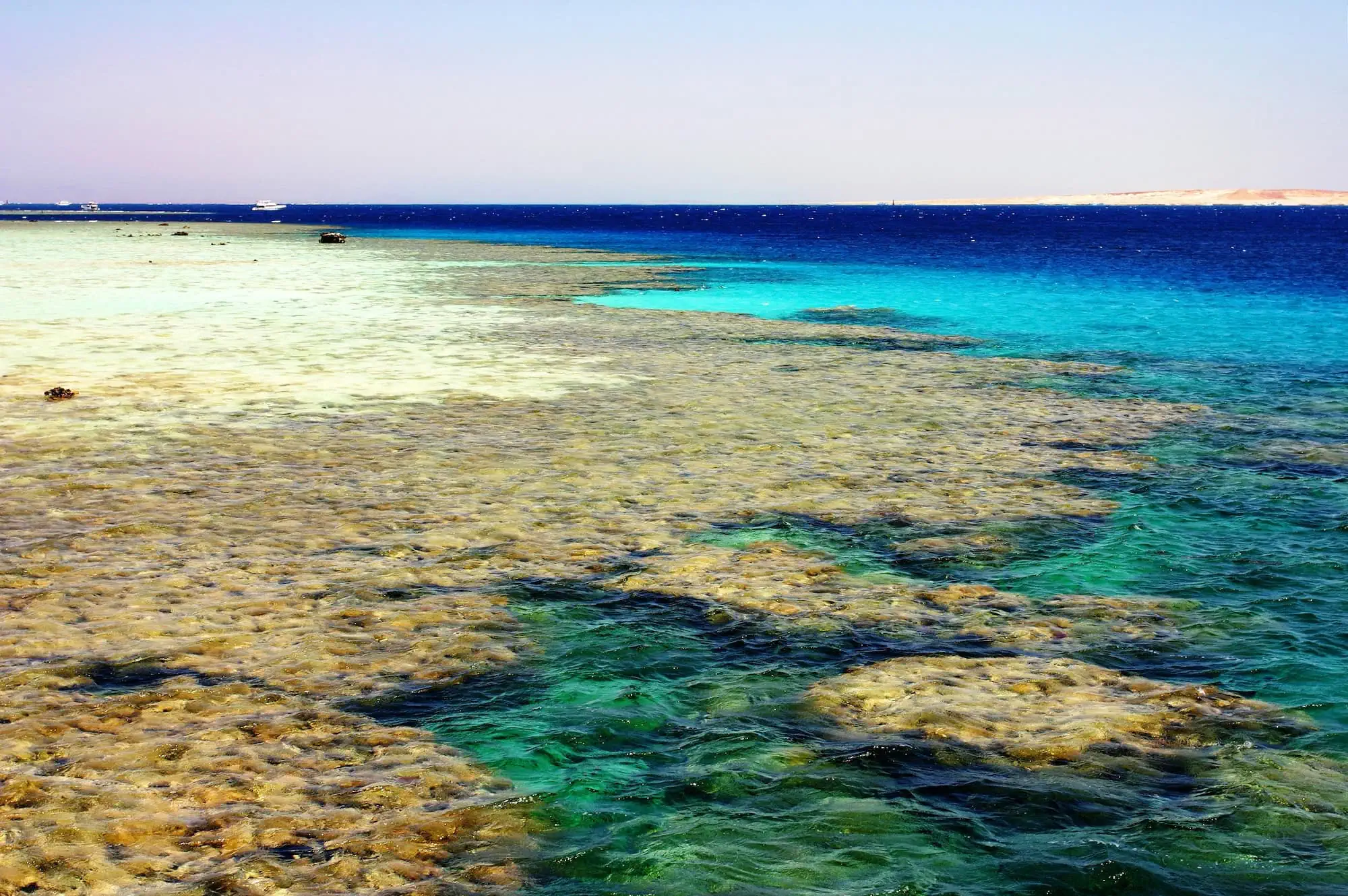 Beautiful coral reef in Red Sea with turquoise waters showing coral formations beneath surface