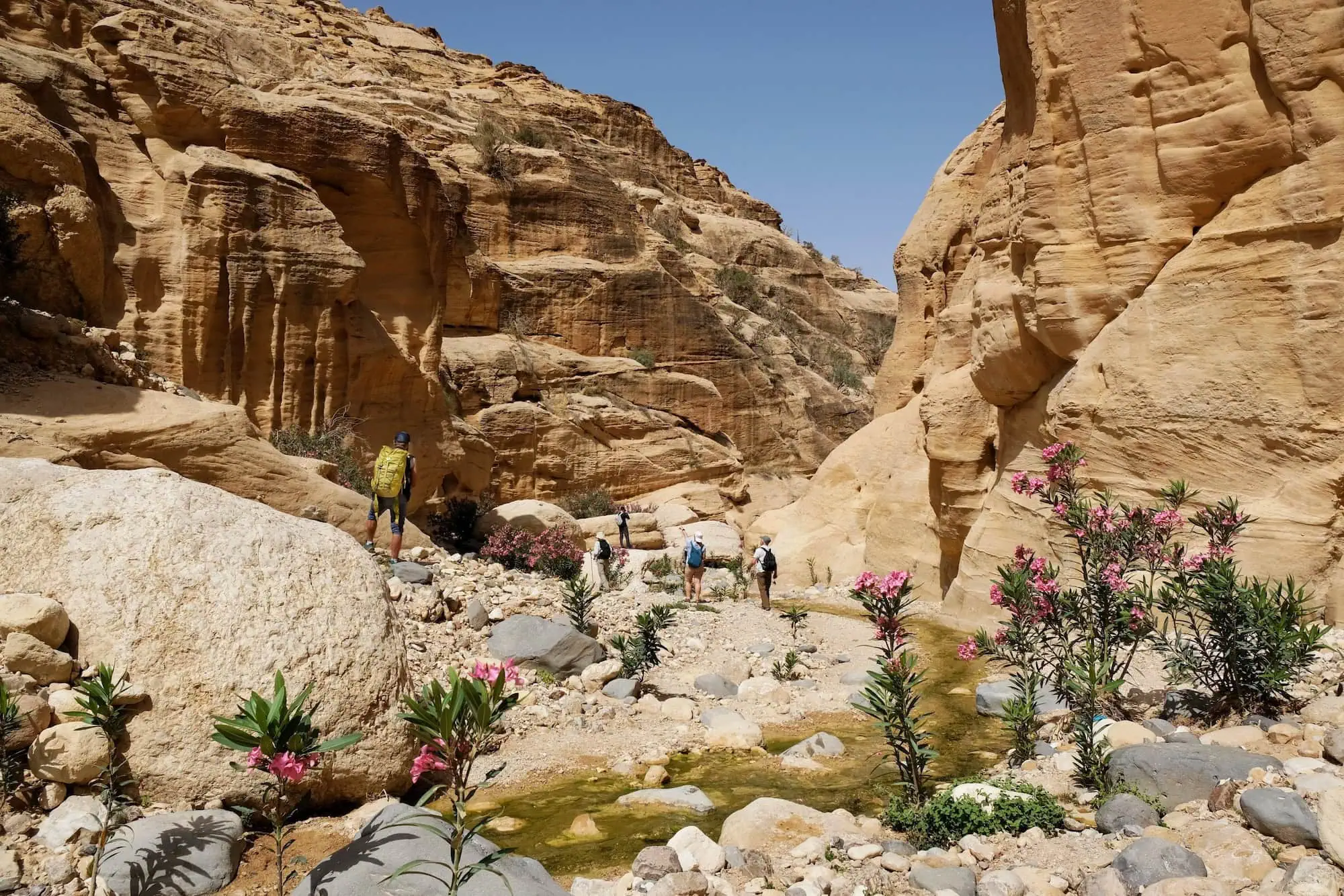 Hikers exploring the dramatic sandstone canyon formations in Dana Biosphere Reserve's Wadi Ghuweir Canyon