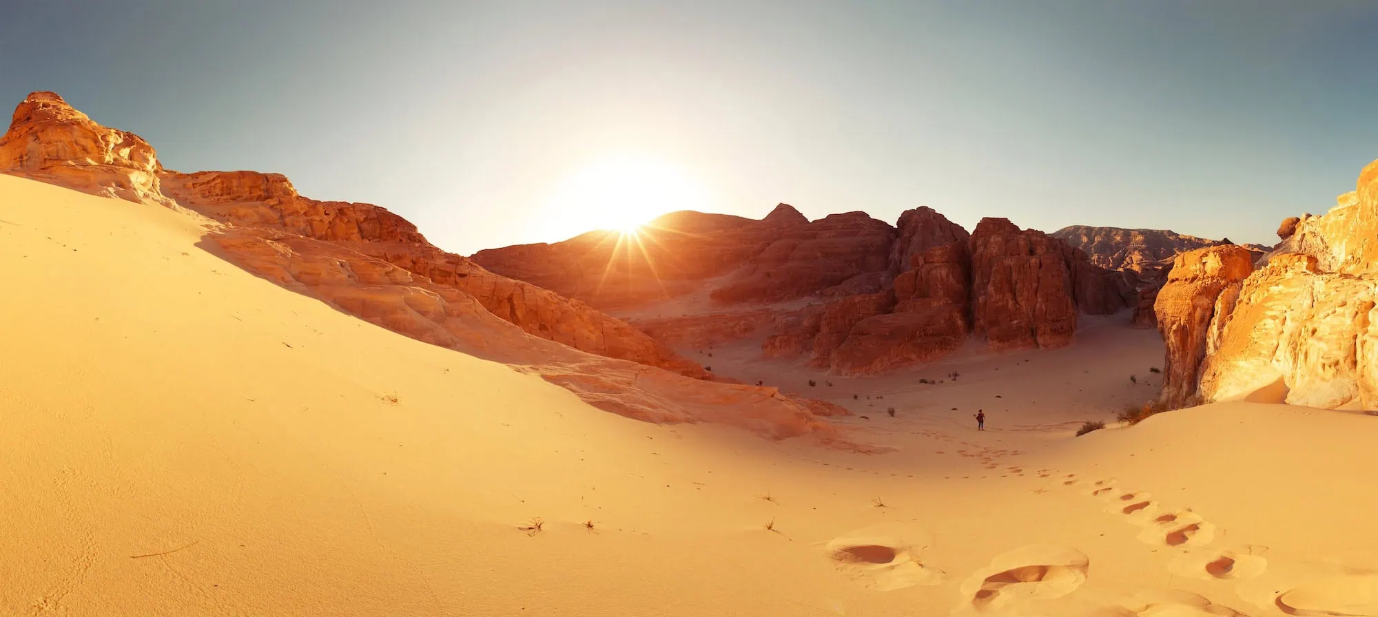 Sinai Desert Tours