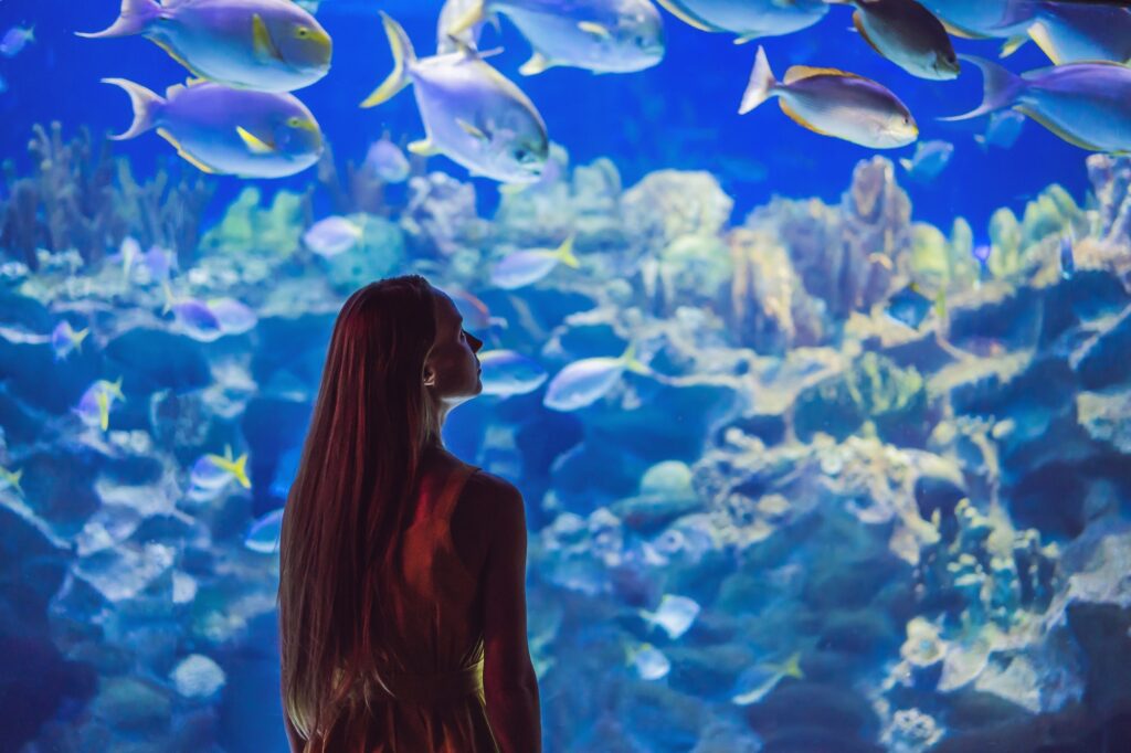 Dubai Aquarium and Underwater Zoo