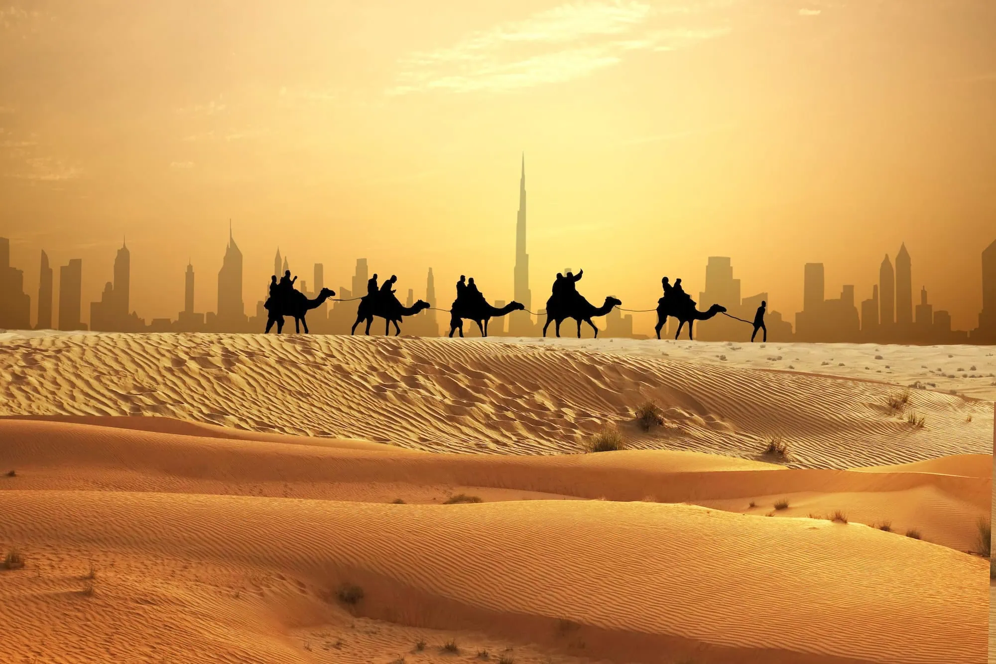 Caravana de camellos en el desierto con rascacielos de Dubai y Burj Khalifa al fondo