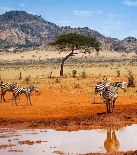 Egypt and Kenya Tours