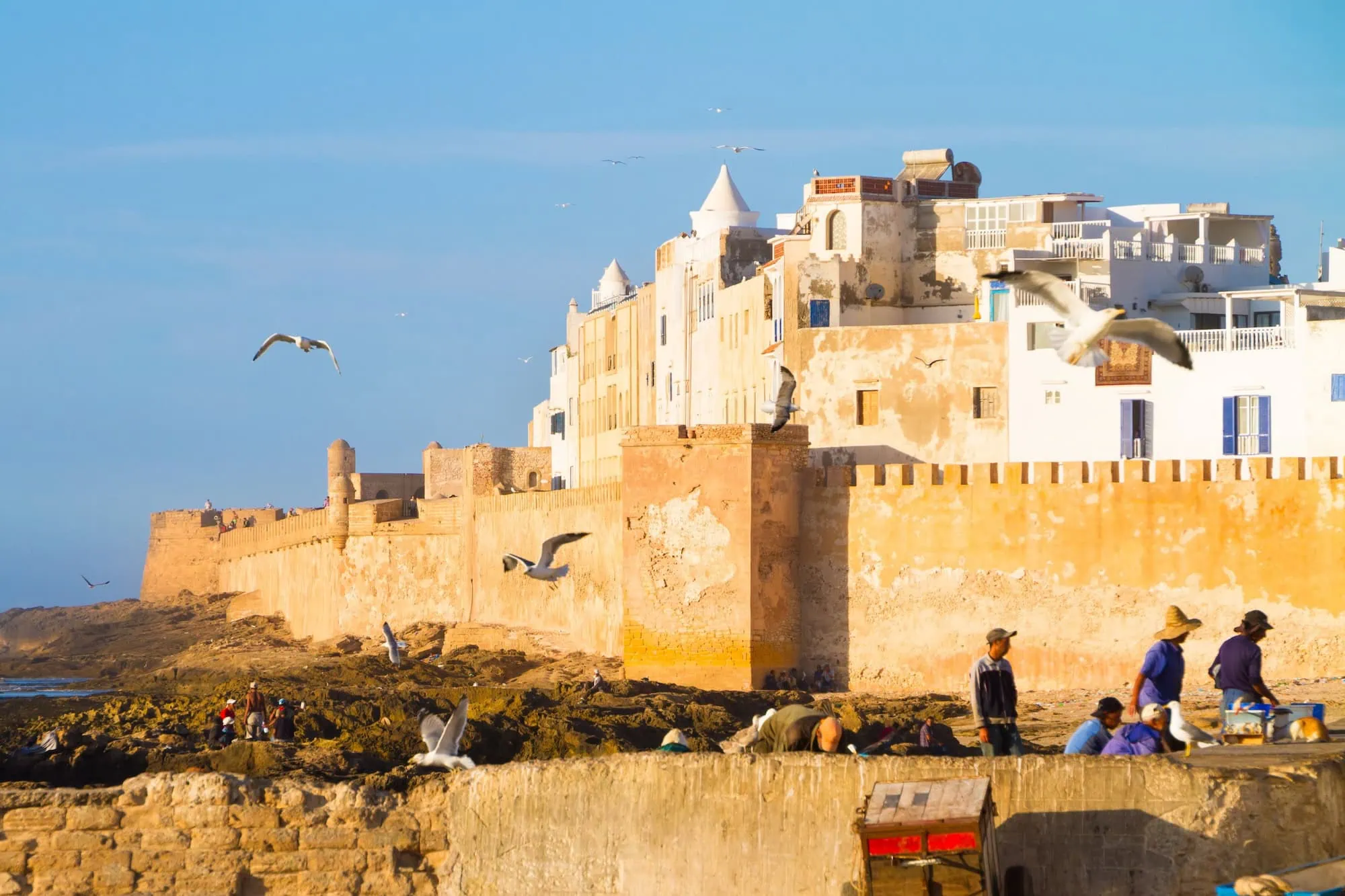 People walking along Essaouira's historic coastal fortification with seagulls flying overhead