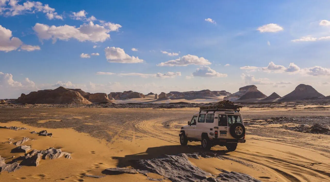 Farafra Oasis