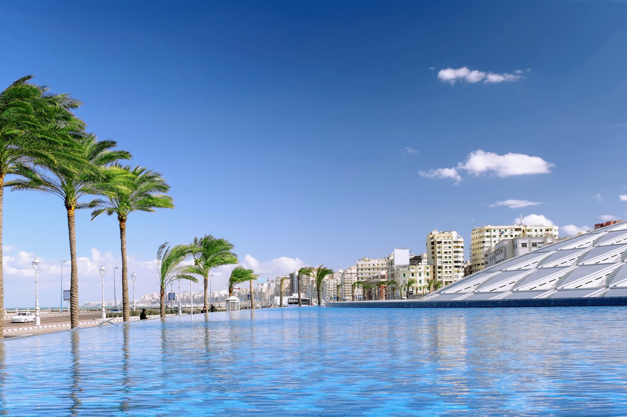 Biblioteca de Alexandria moderna com palmeiras e vista para o mar