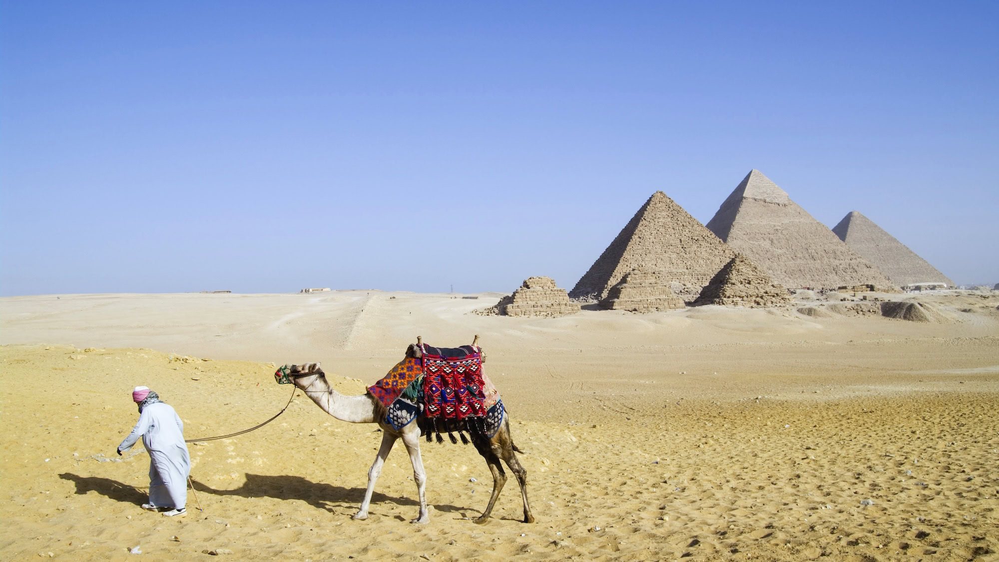 Guía local con turista y camello frente a las pirámides de Giza