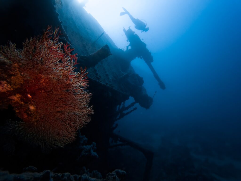 The coral-encrusted SS Thistlegorm with a diver hovering above the stern gun