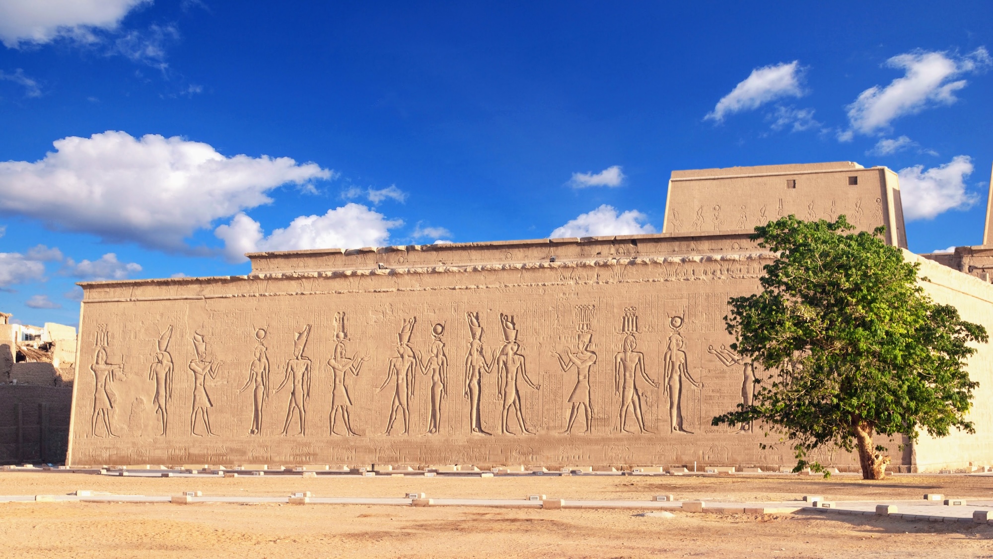 Ancient hieroglyphic wall carvings at Kom Ombo Temple showing Egyptian deities
