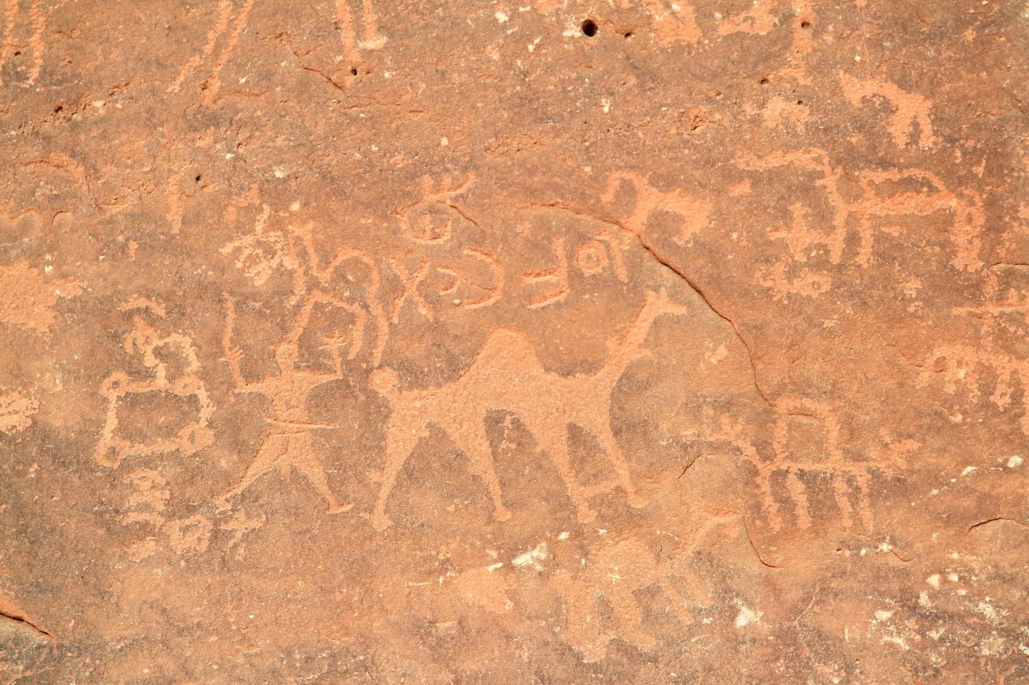 Ancient rock art petroglyphs showing human and animal figures carved on sandstone surface