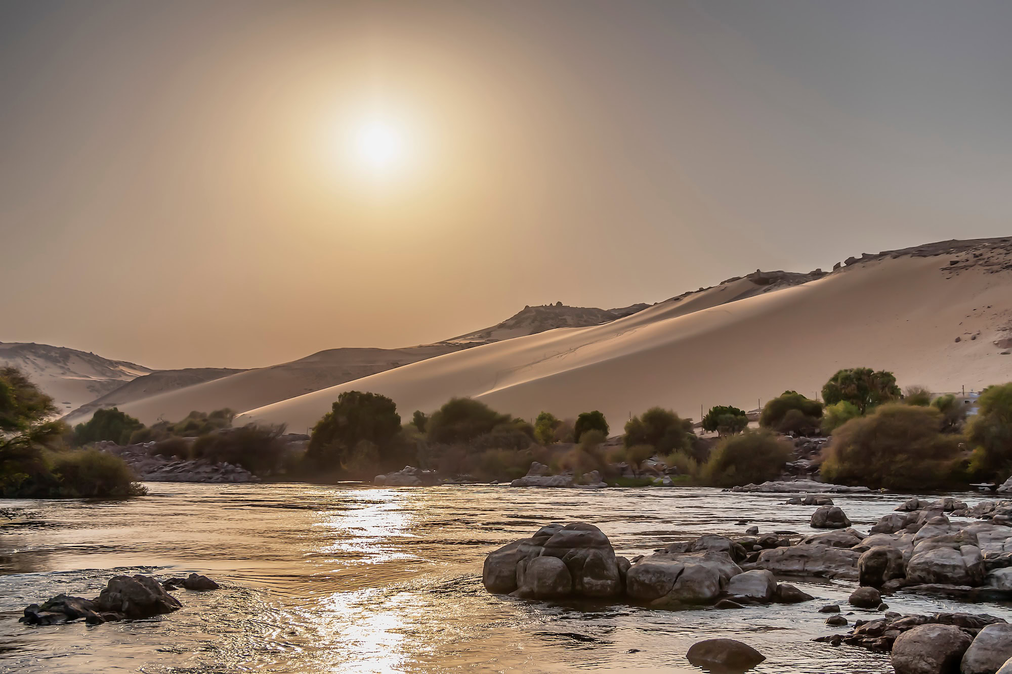 Desert meeting the Nile River with contrasting landscapes of barren sand dunes and lush vegetation