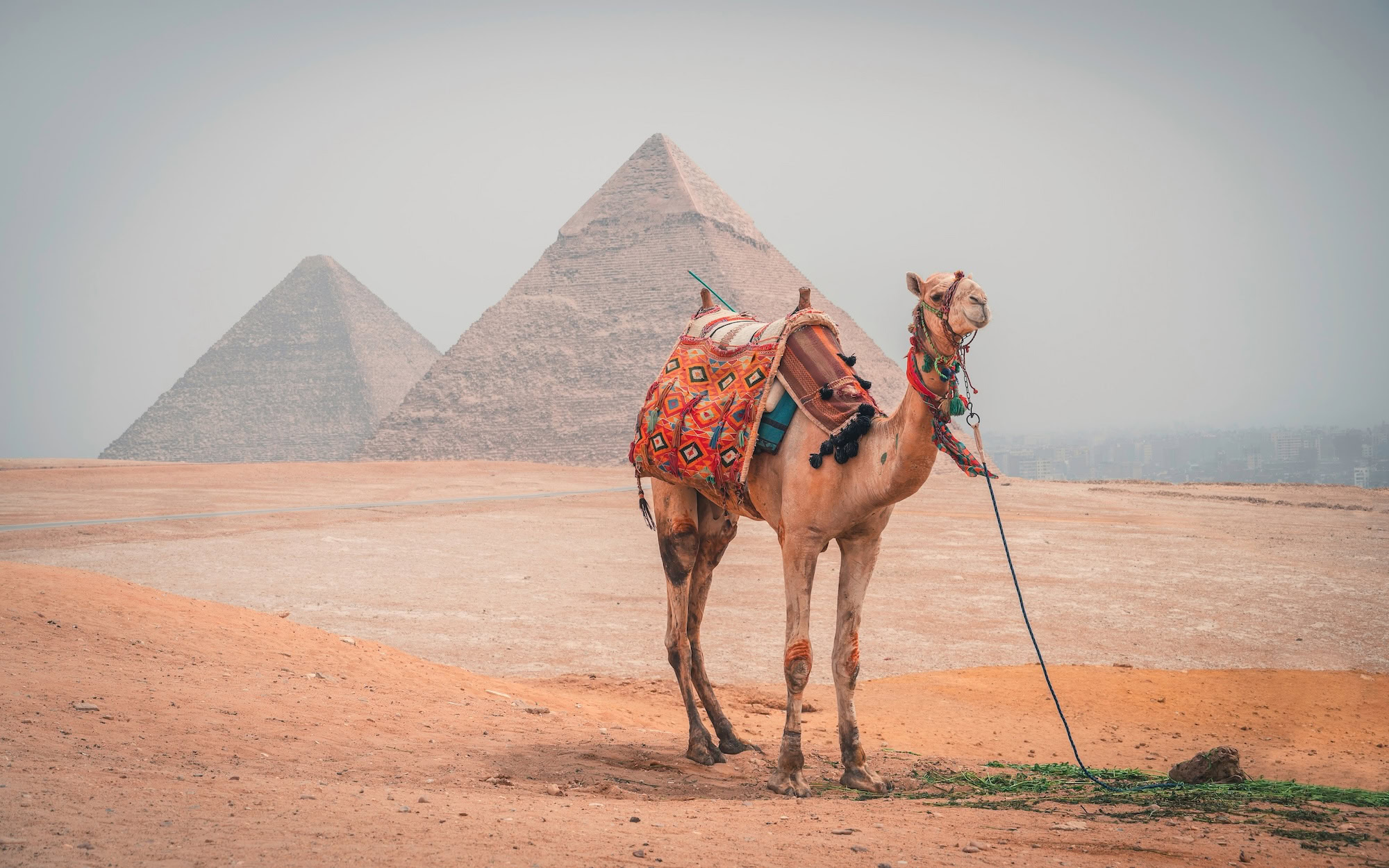 Egypt Tours from Calgary