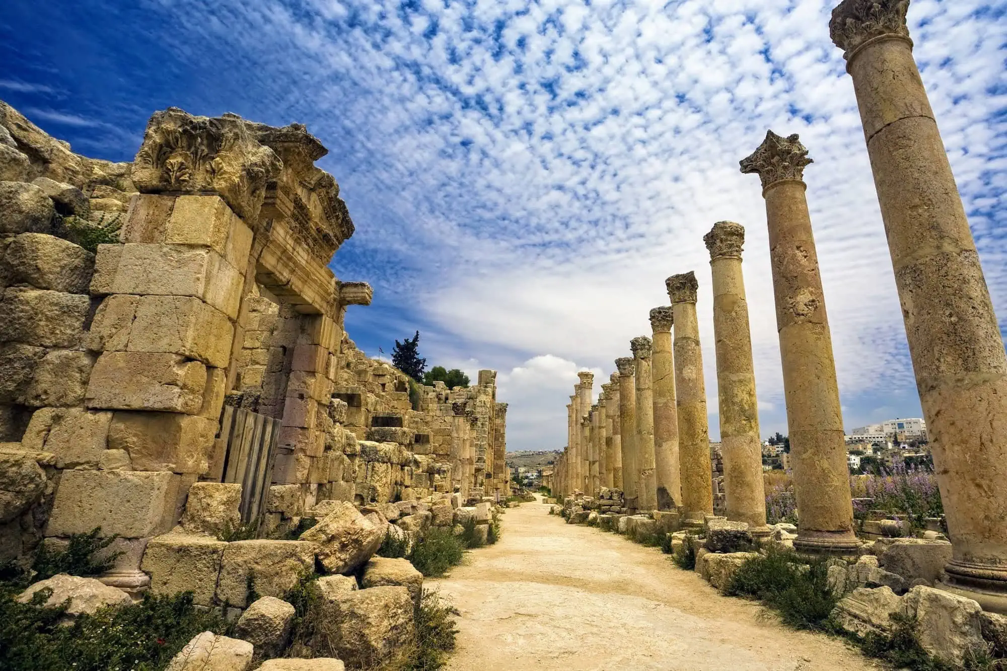 Ancient Roman colonnaded street in Jerash showing well-preserved stone columns and paved walkway