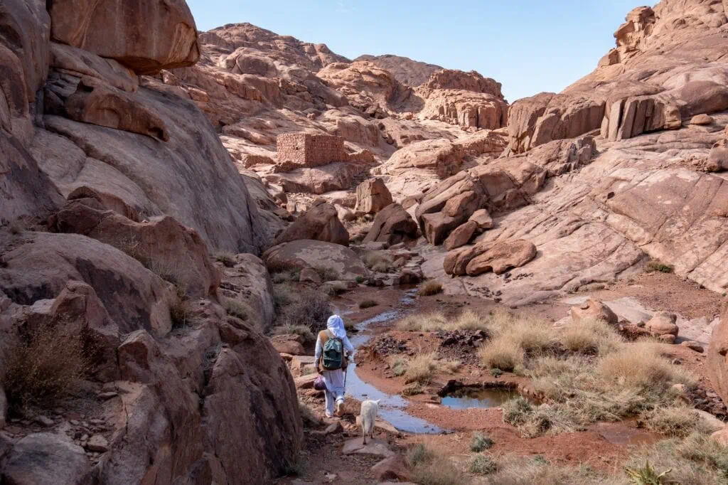Local Bedouin with his dog on a mountain trail with red rocky slopes and large boulders along the path to Mount Sinai summit, Saint Catherine