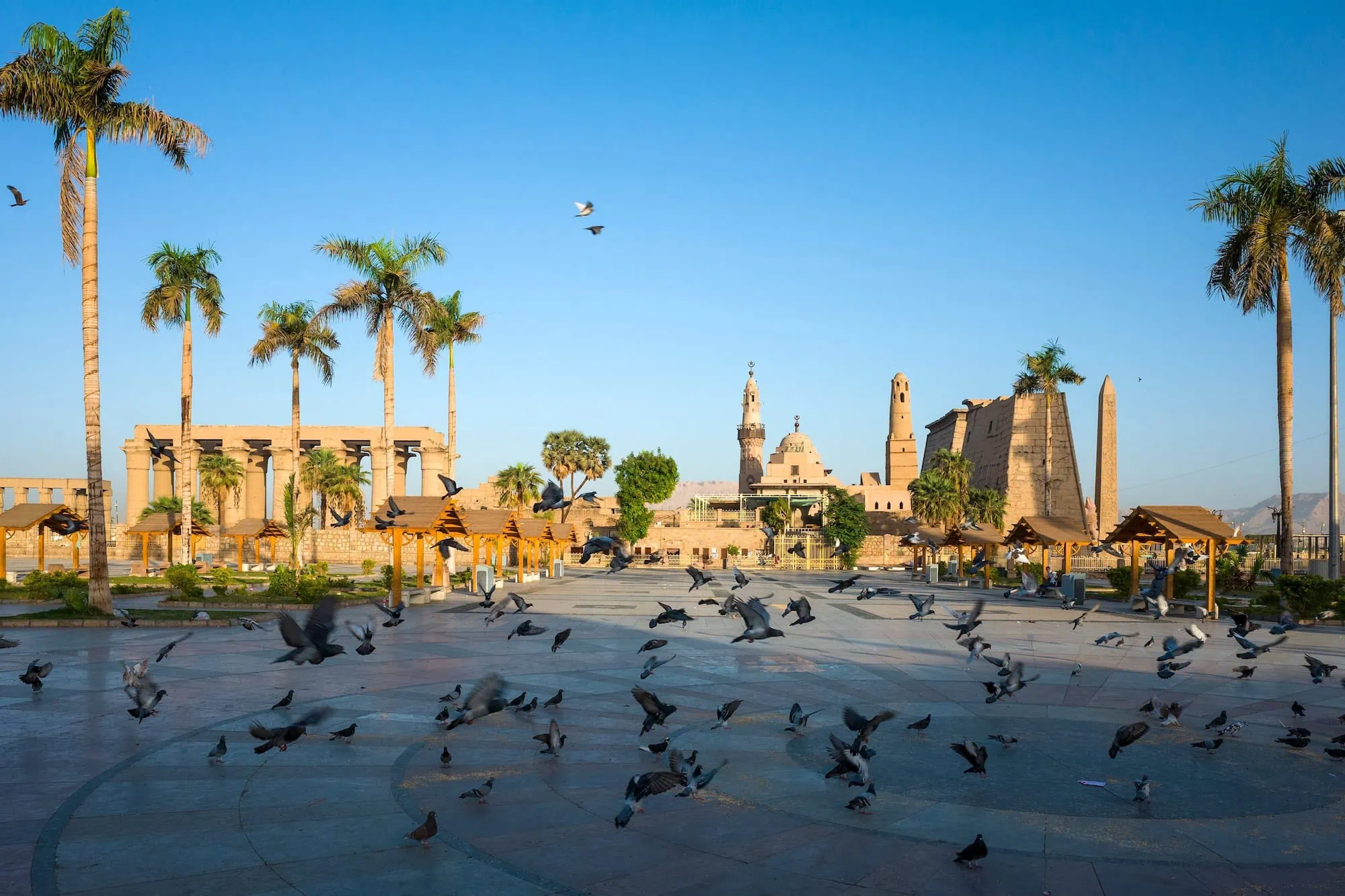 View of Abu Haggag Mosque and the Grand Colonnade at Luxor Temple Square, with pigeons in the foreground