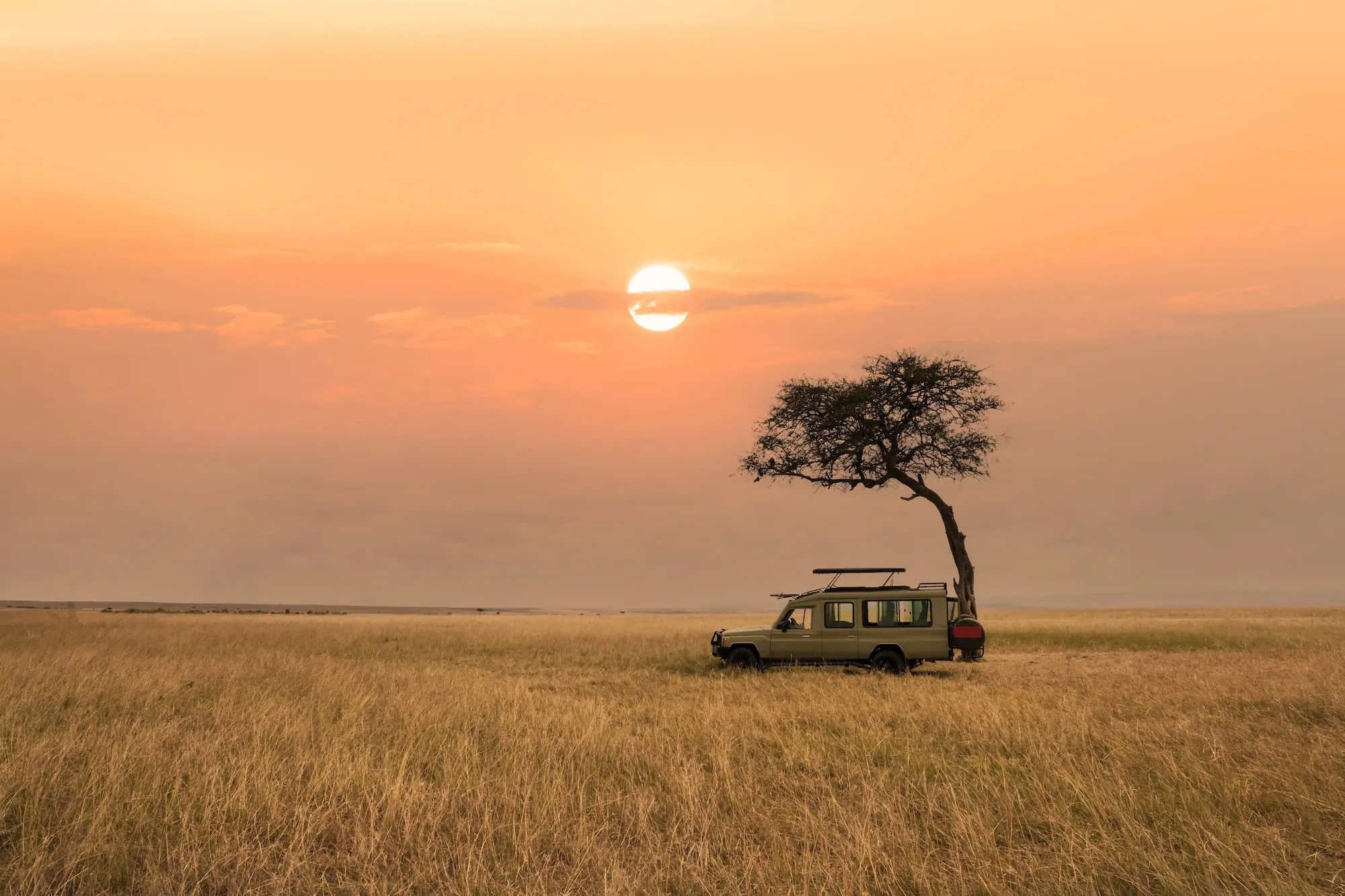 Egypt and Africa Tours and Safaris