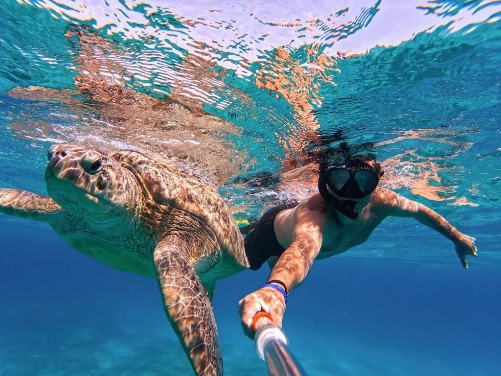 A snorkeller swimming beside a large green sea turtle over a reef in the clear water of the Red Sea near Marsa Alam, the diving and snorkelling that anchors the Red Sea extension on a guided Egypt all-inclusive trip.