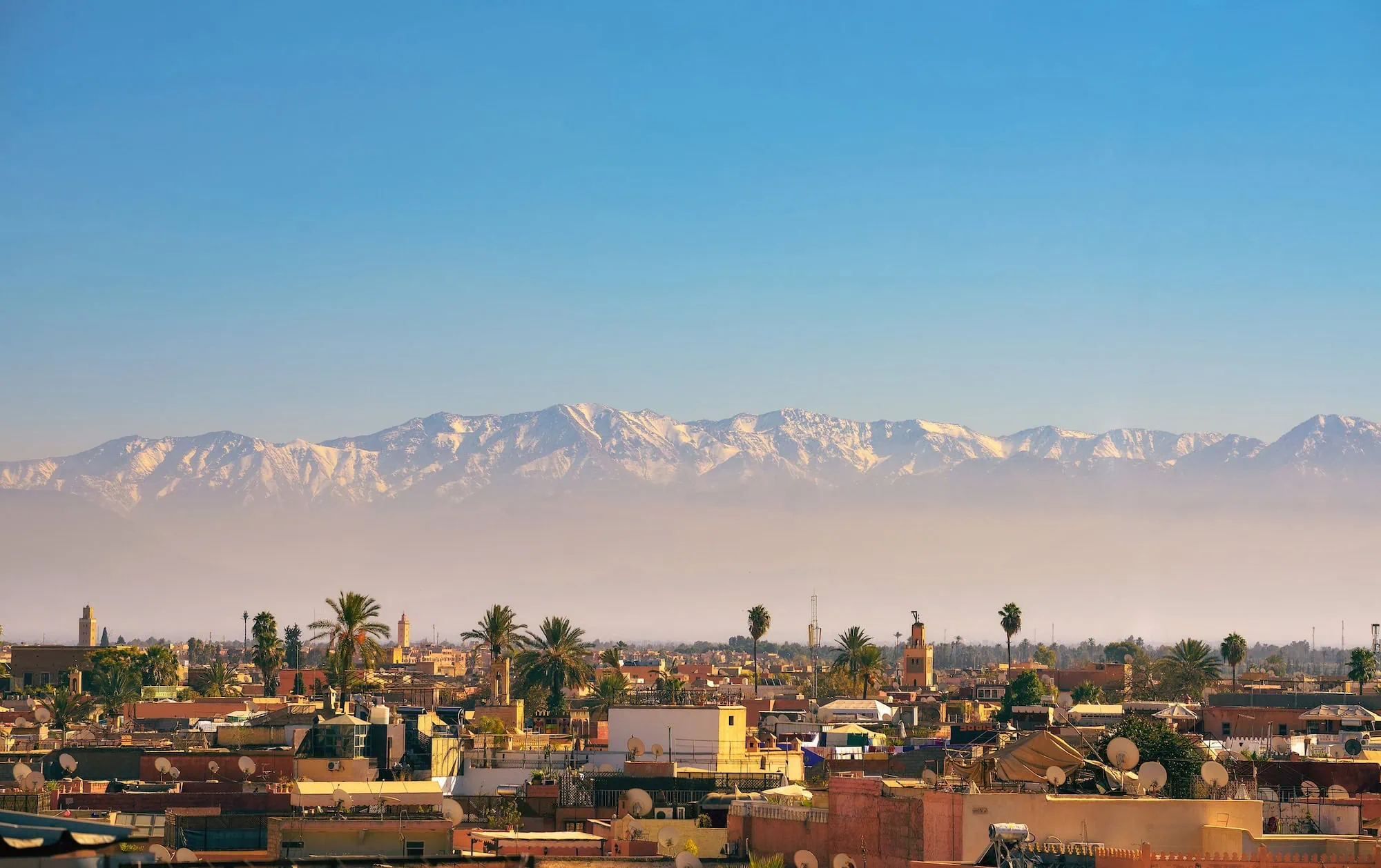 Marrakech cityscape with Atlas Mountains in the background showing traditional architecture and palm trees