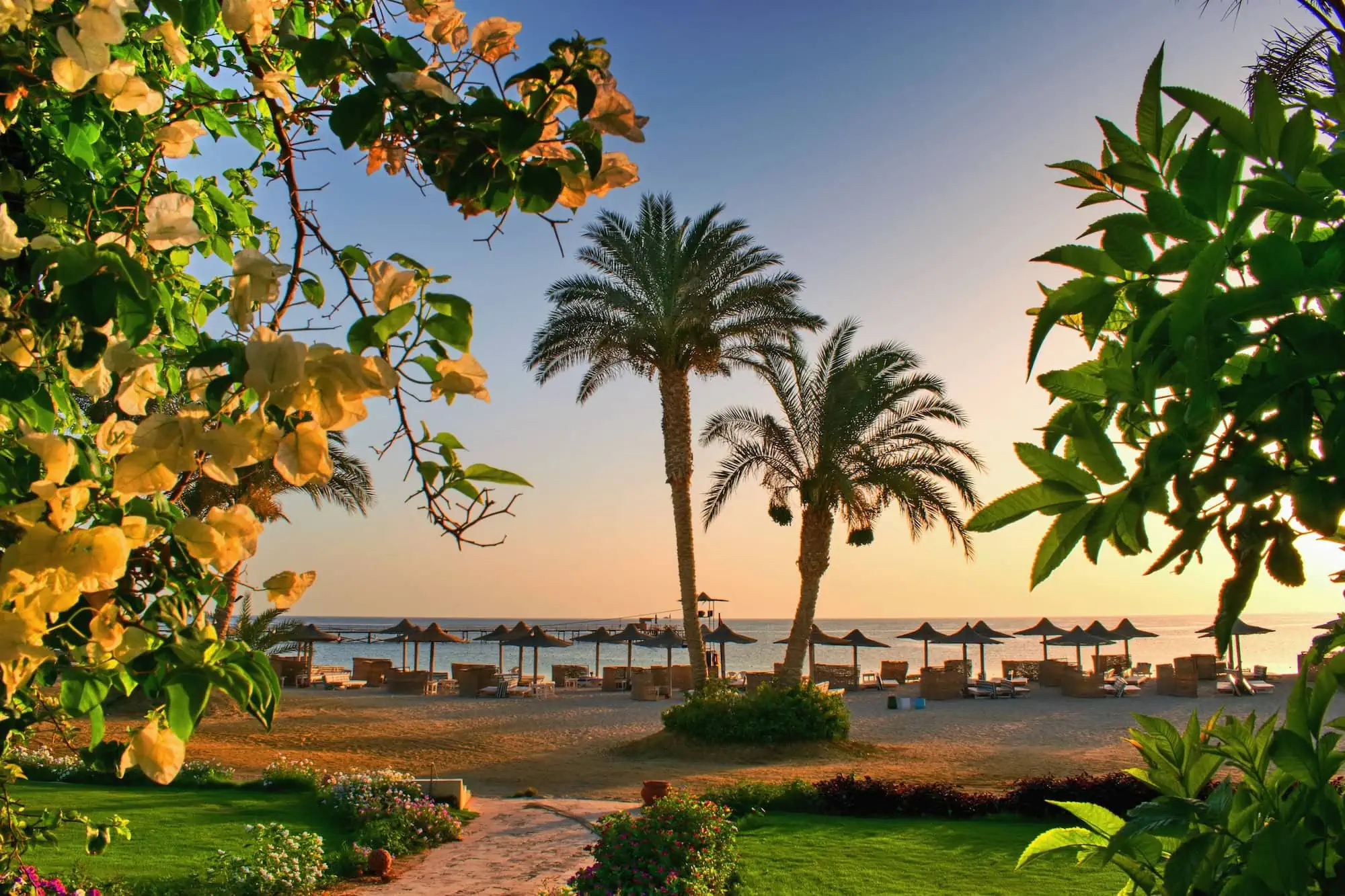 Resort de playa tropical con palmeras y tumbonas junto al océano
