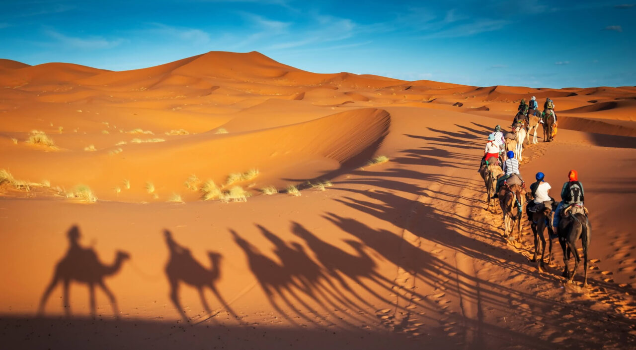 Camels Trekking Guided Safari Tours In Merzouga Morocco Sahara Desert