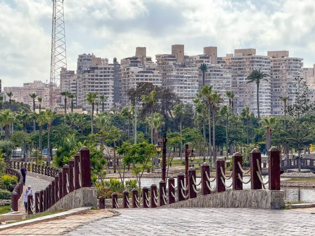 Modern cityscape with residential and commercial buildings viewed from a public park, Alexandria