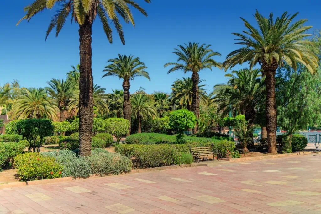 Menara Garden with olive tree groves and open landscaped grounds, Marrakesh