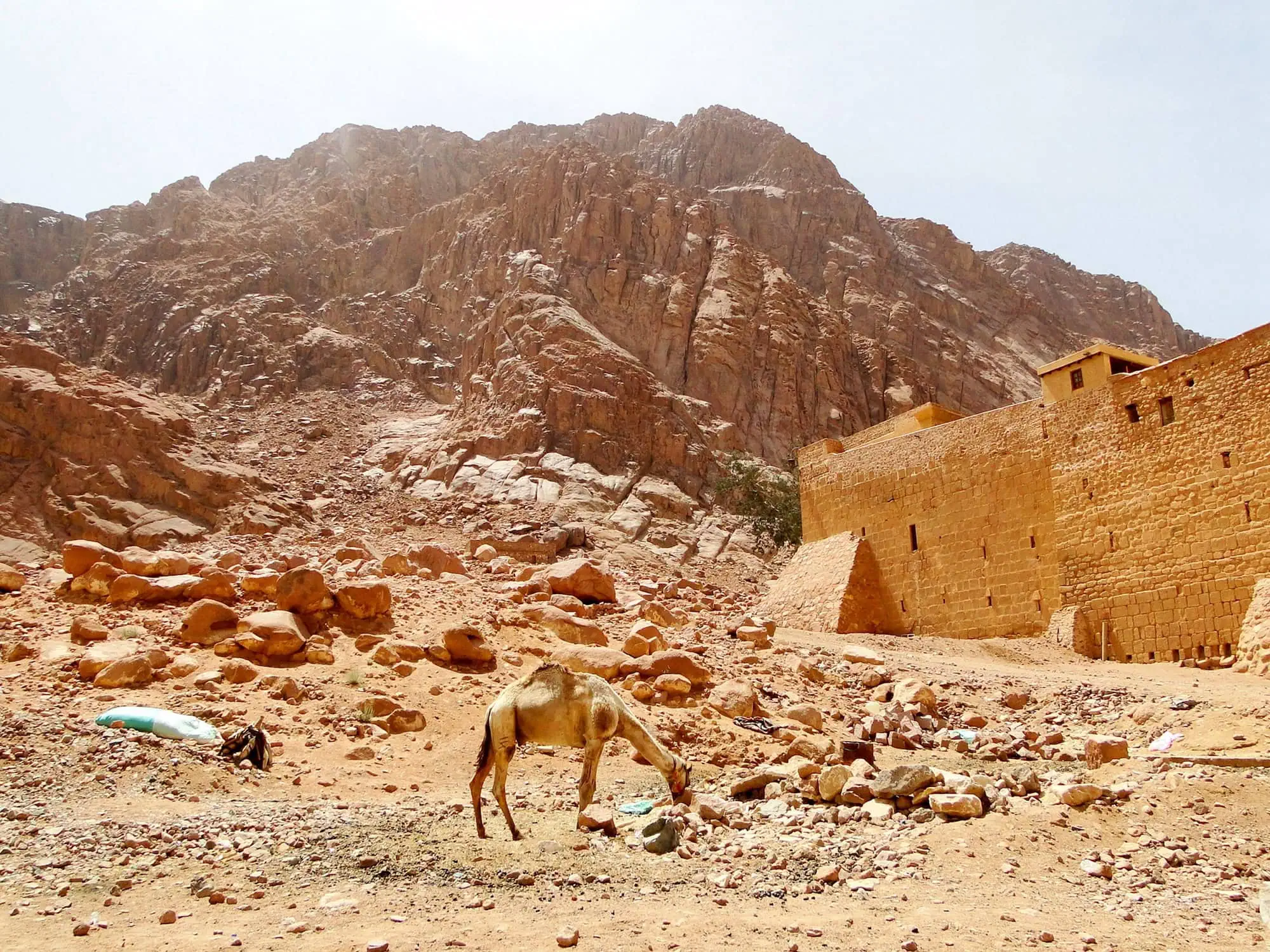 Mount Sinai known as Mount Horeb or Gabal Musa is a mountain in the Sinai Peninsula of Egypt