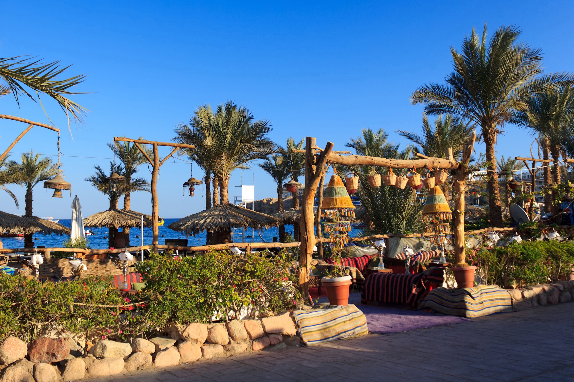 Luxury Red Sea beach resort with palm trees, loungers, and wooden pergolas