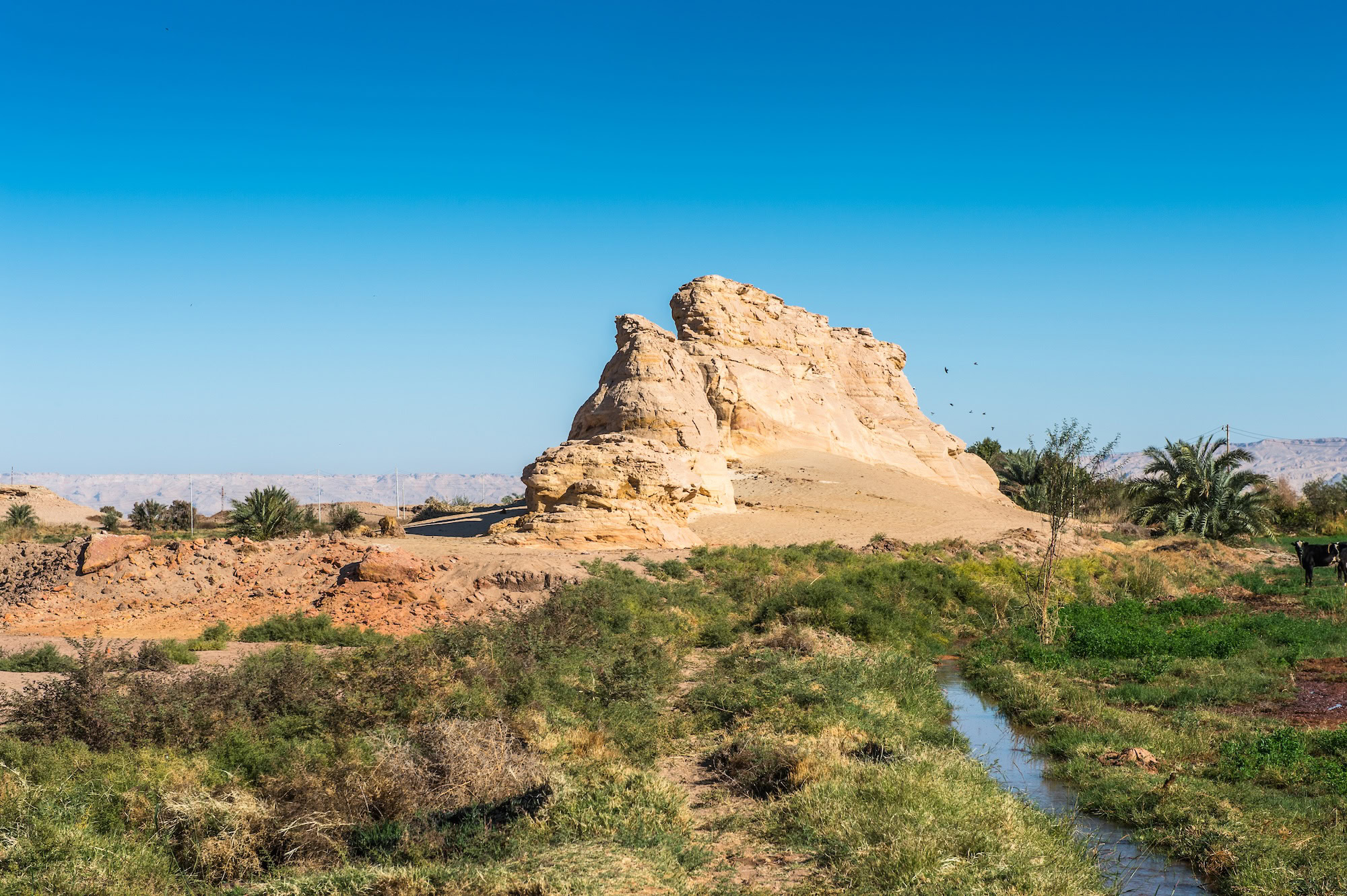 The Dakhla Oasis – Tropical Paradise of the Western Desert