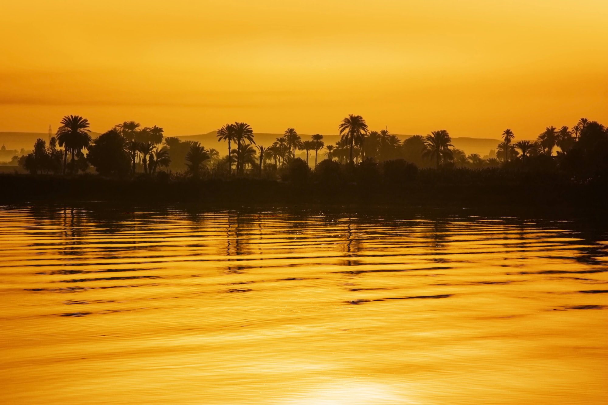 Serene sunset view over the Nile River with palm trees and golden reflections