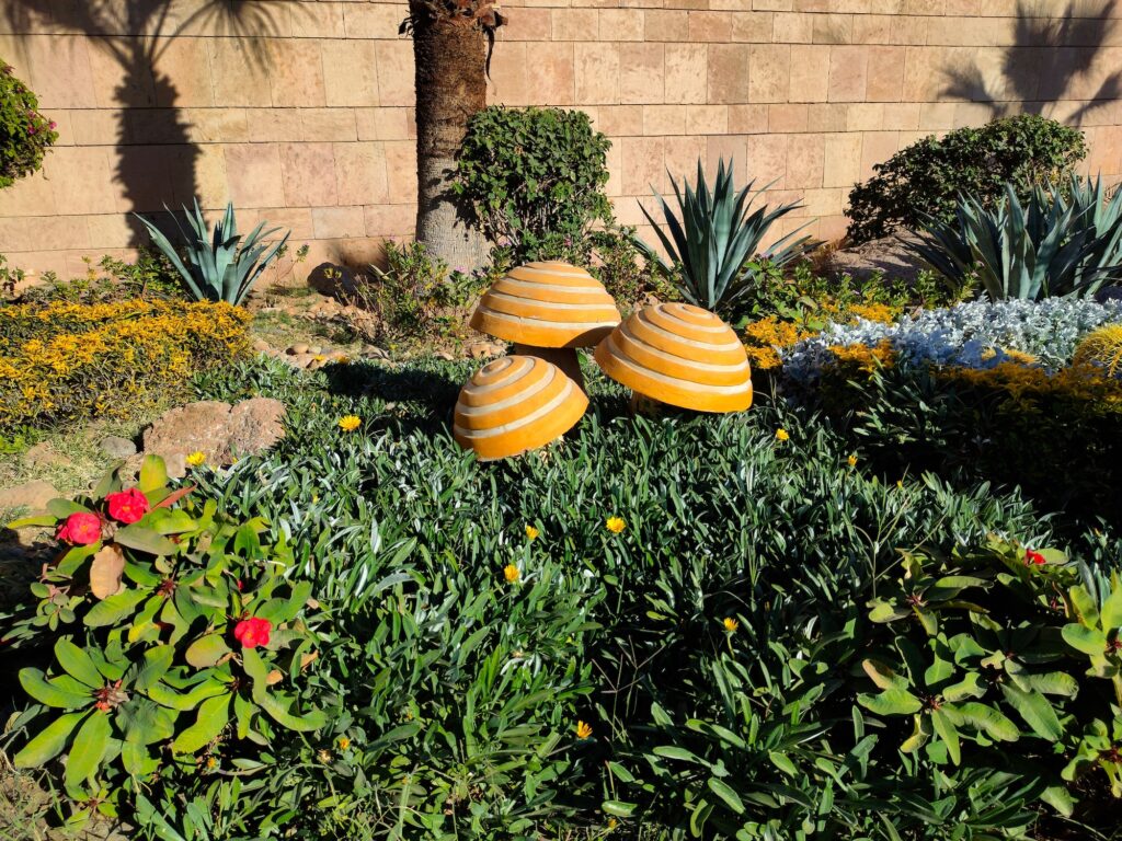 Nubian Museum Garden in Aswan, Egypt