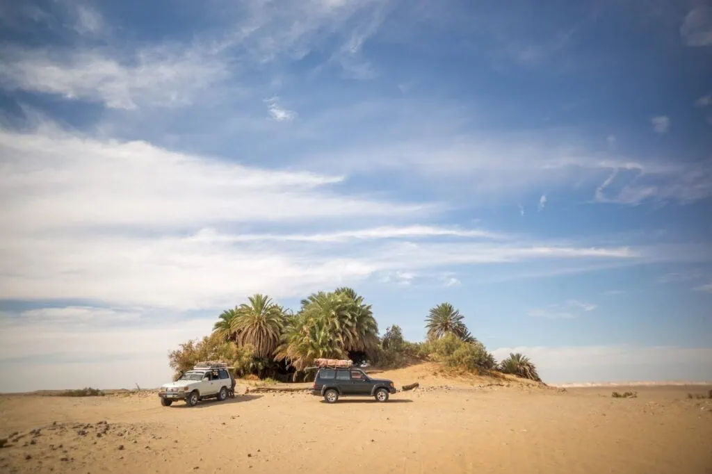 Vehicles parked near an oasis in the Bahariya Desert