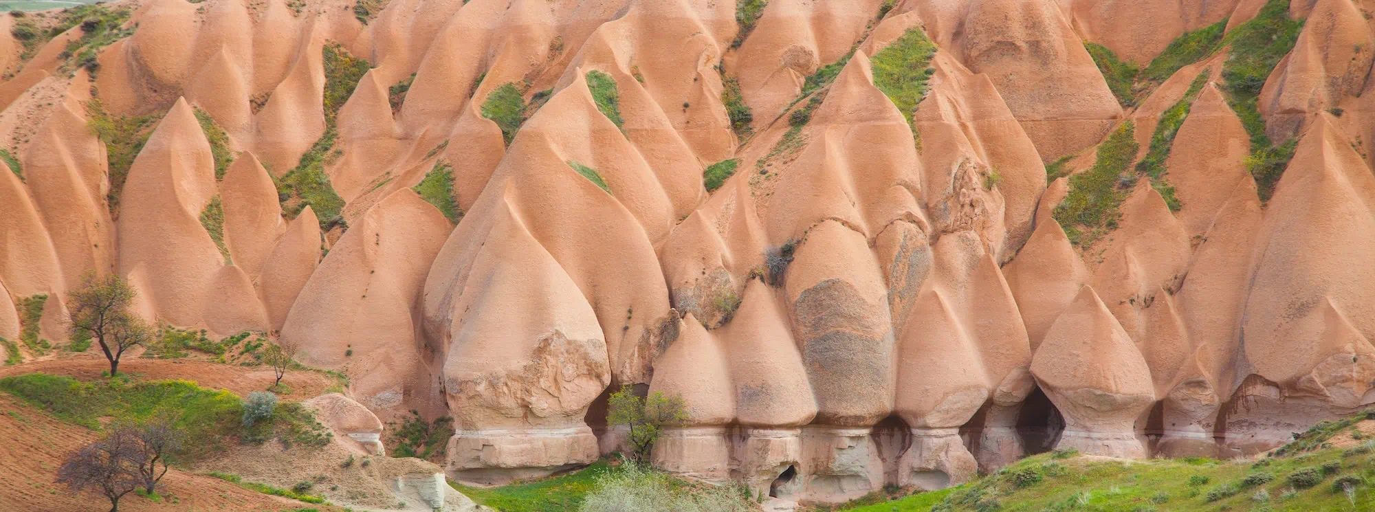 Panoramic view of tall cone-shaped fairy chimney rock formations in Cappadocia, Turkey