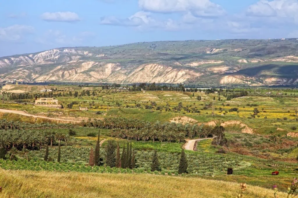 Panoramic view of the Jordan Valley with green wheat fields, arable land, and olive groves, Dvora