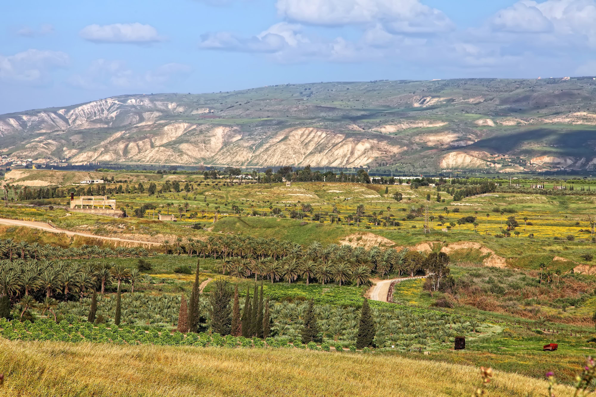 Serene Jordan Valley agricultural landscape with mountains, palm trees, and farmland in the Great Rift Valley